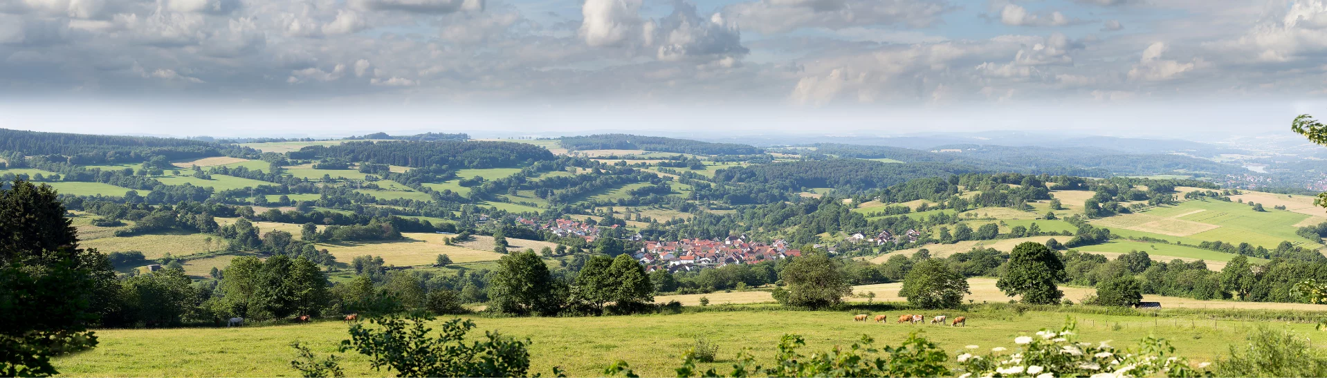 Palliativnetz Vogelsberg